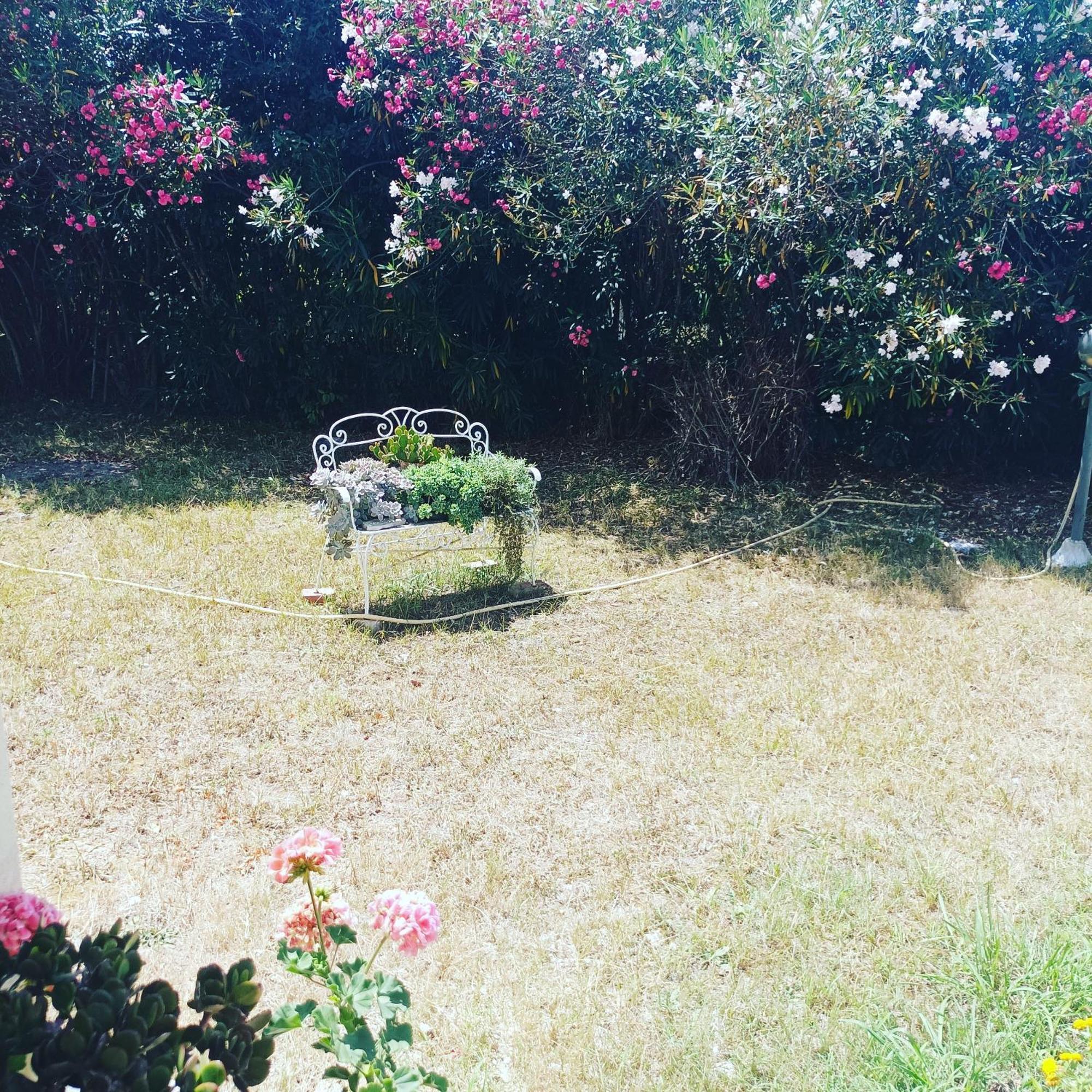 Holiday home Giardino Degli Oleandri *