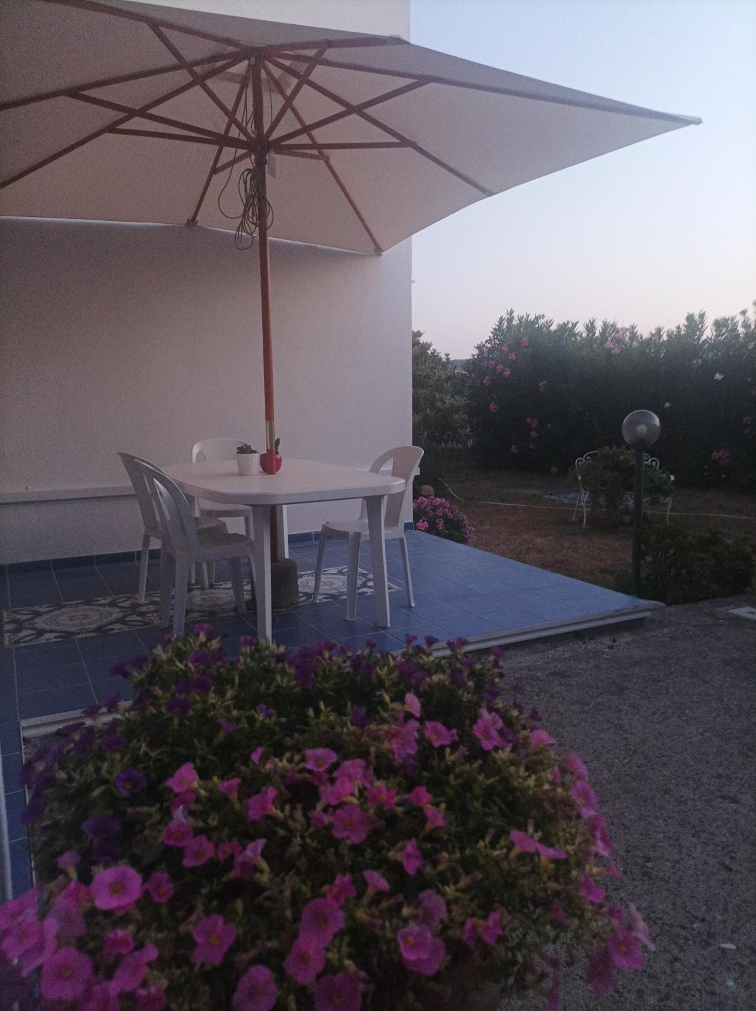 Giardino Degli Oleandri * Palinuro