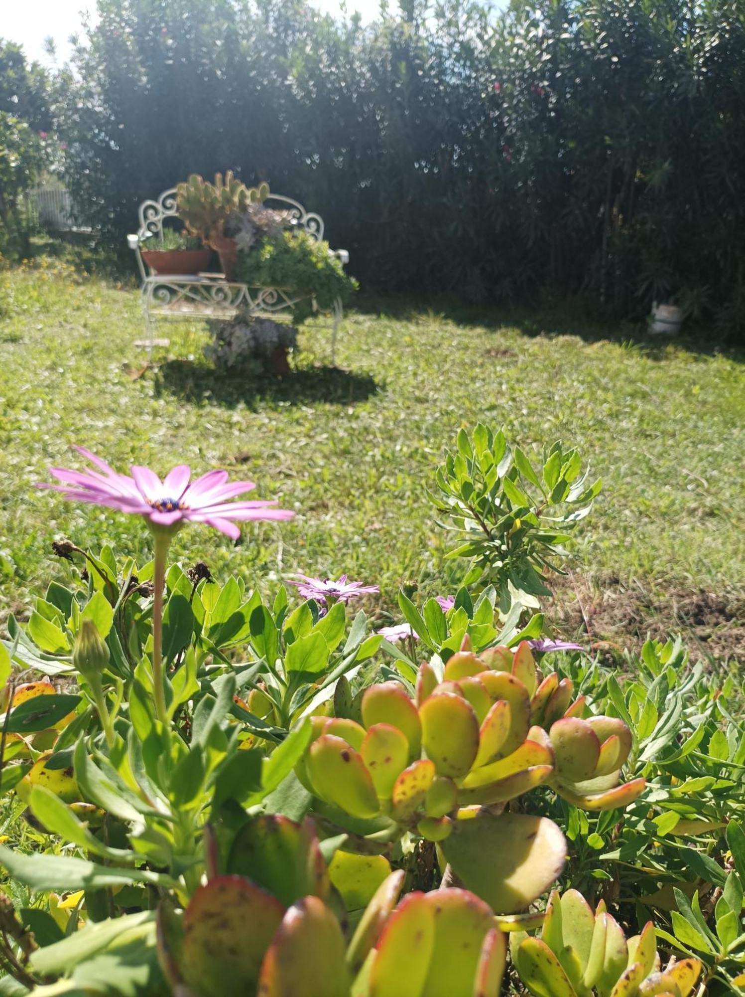 Giardino Degli Oleandri